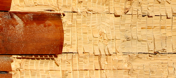 Log Home Face Restoration  Barbour County, Alabama
