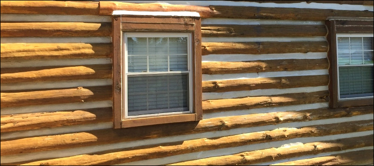 Log Home Whole Log Replacement  Barbour County, Alabama